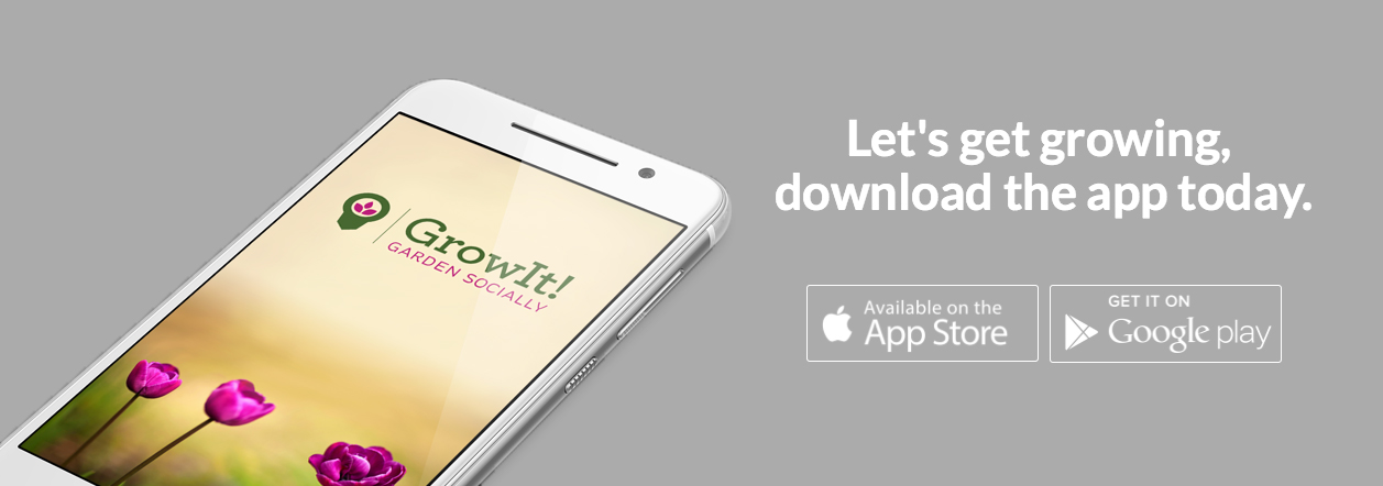 growit-mobile-app-succulents-cactus-needles-and-leaves_net.jpg